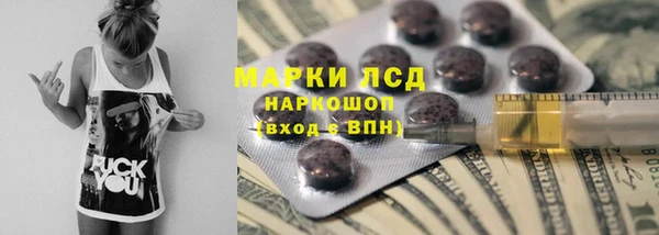 гидра Вязники
