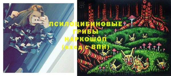 гидра Вязники