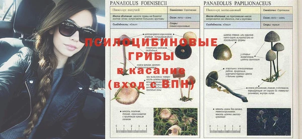 метадон Вяземский