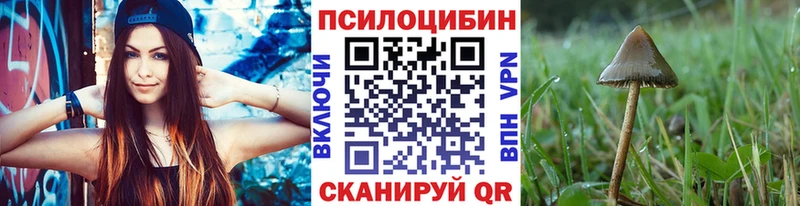 Купить где  Мостовской  Галлюциногенные грибы Cubensis 